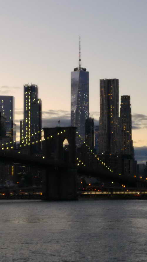 NYC_2017-11-19 16-48-43_CELL_20171119_164843